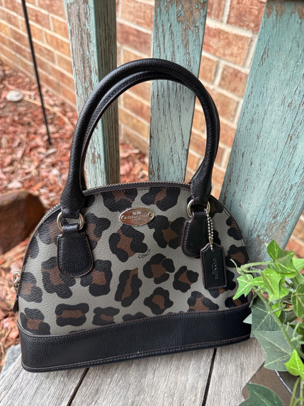 Coach Leopard-Print Cora Mini Dome Satchel in Black and Brown